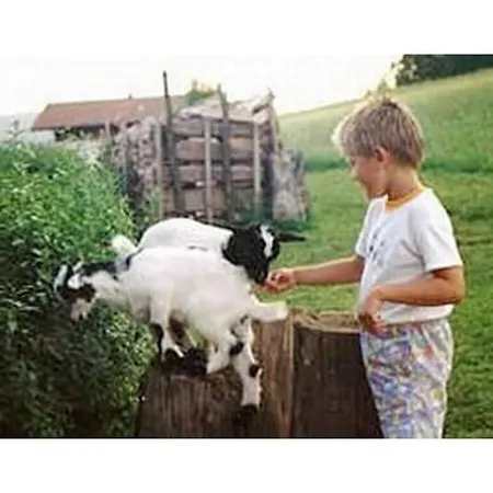 Family- Friendly In Bavarian Forest * Prackenbach