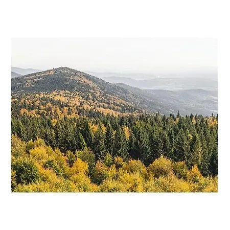 Family- Friendly In Bavarian Forest Ferienhaus Prackenbach