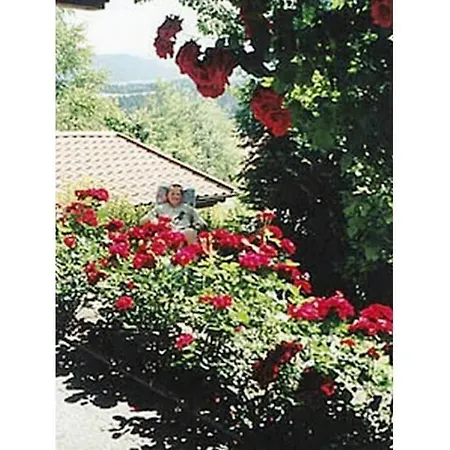Ferienhaus Family- Friendly In Bavarian Forest