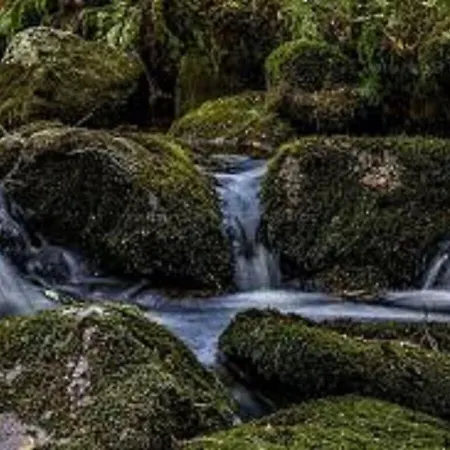 Family- Friendly In Bavarian Forest Ferienhaus