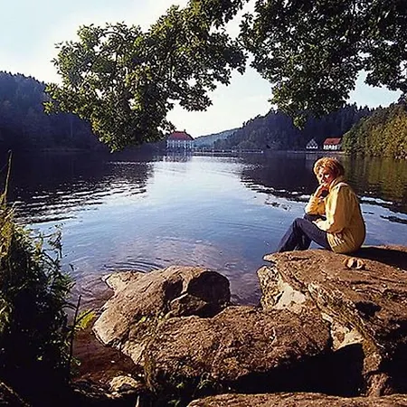 Ferienhaus Family- Friendly In Bavarian Forest *