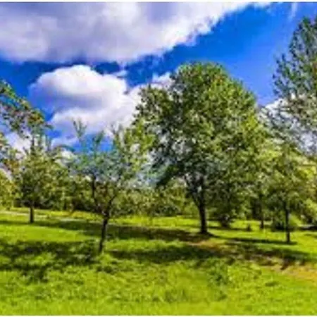 Family- Friendly In Bavarian Forest Ferienhaus Prackenbach