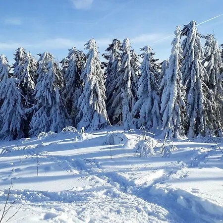 Ferienhaus Family- Friendly In Bavarian Forest Prackenbach