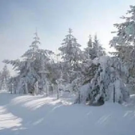 Family- Friendly In Bavarian Forest *