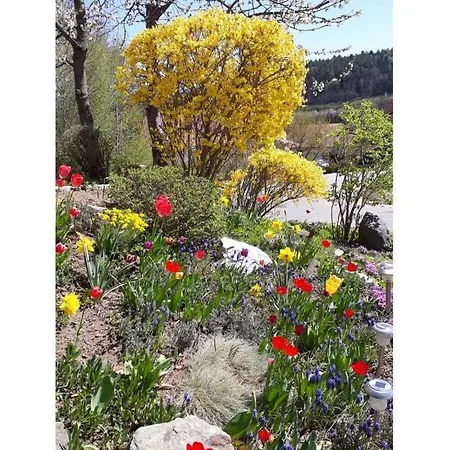Family- Friendly In Bavarian Forest * Prackenbach