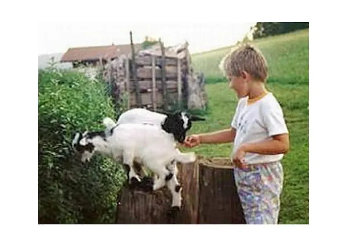 Family- Friendly In Bavarian Forest * Prackenbach