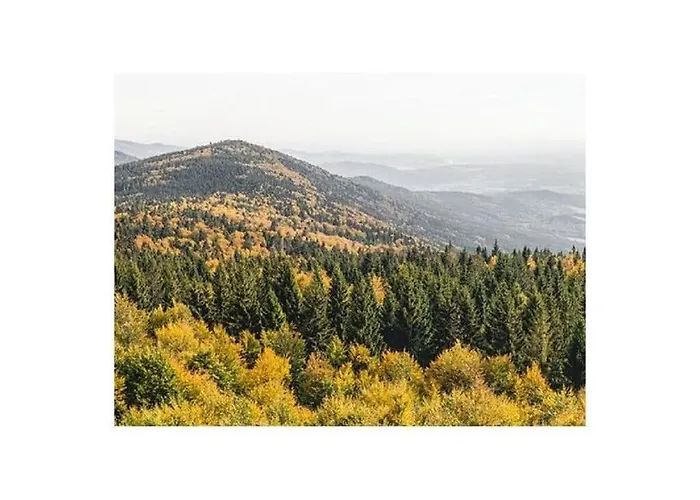 Family- Friendly In Bavarian Forest Feriehus Prackenbach