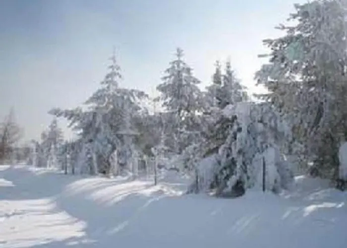 Family- Friendly In Bavarian Forest *