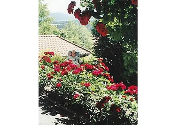 Feriehus Family- Friendly In Bavarian Forest