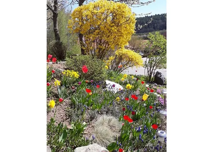 Family- Friendly In Bavarian Forest * Prackenbach