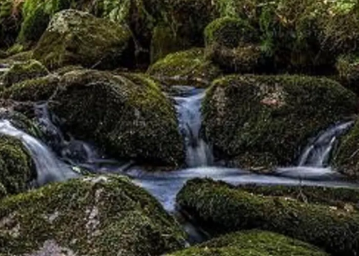 Family- Friendly In Bavarian Forest Feriehus