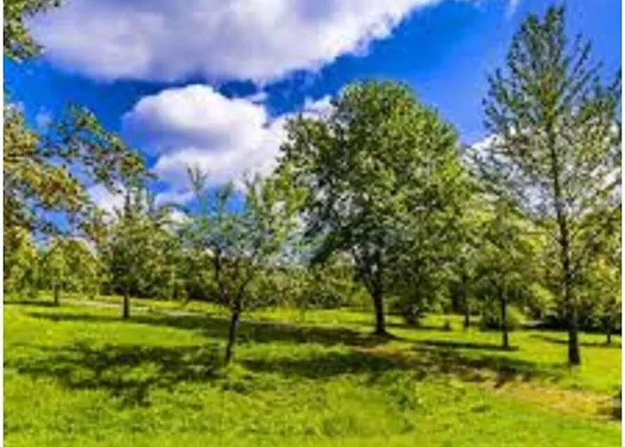 Family- Friendly In Bavarian Forest Feriehus Prackenbach