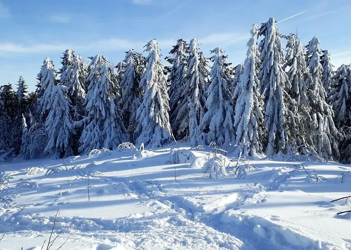 Feriehus Family- Friendly In Bavarian Forest Prackenbach